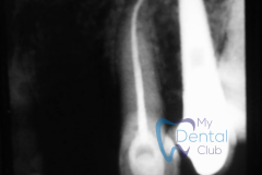 watermark_14-12-2018_04-33-47PM